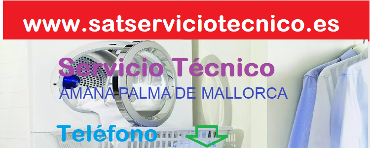 Telefono Servicio Tecnico AMANA
